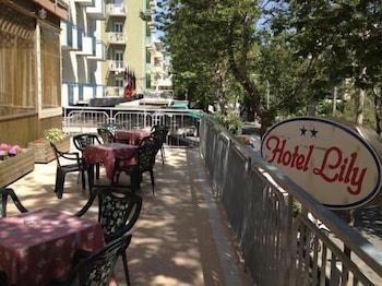 Lily Hotel Rimini