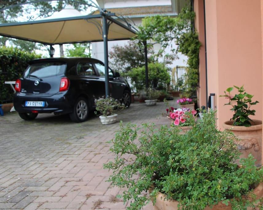 Frally Intero Alloggio, Appartamento. Apartment
