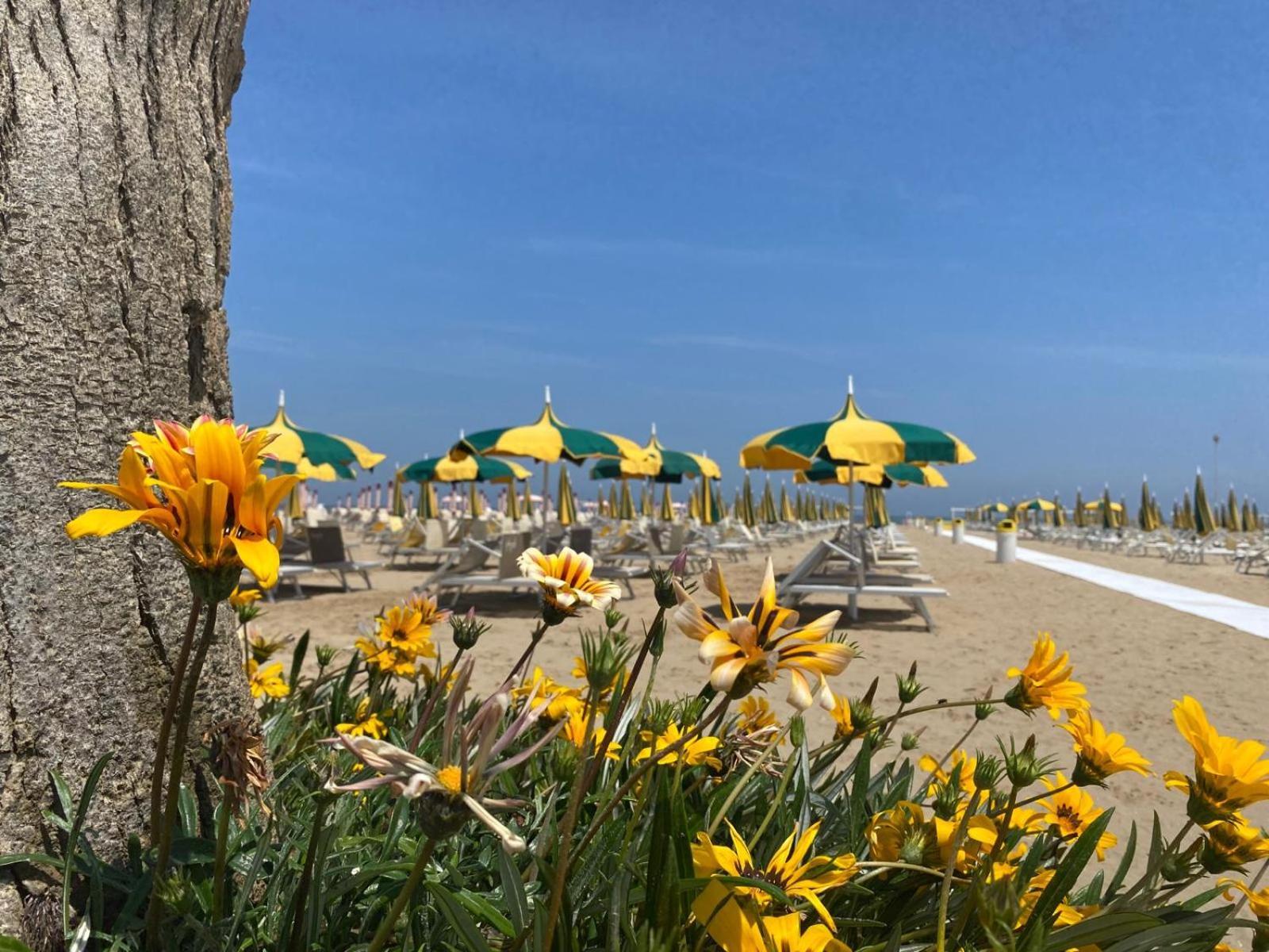 Bay Suites&residence Aparthotel