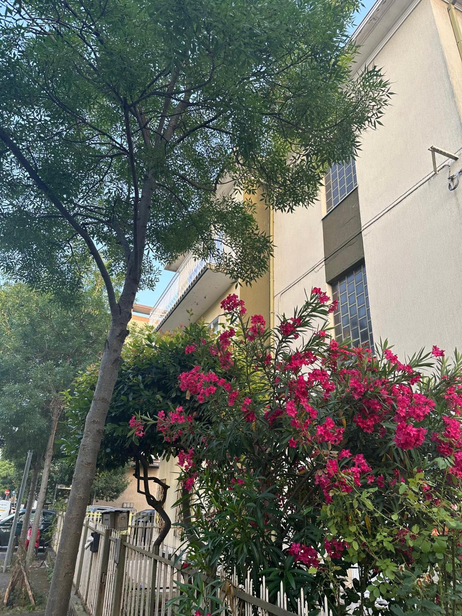 Borgo Sangiuliano *