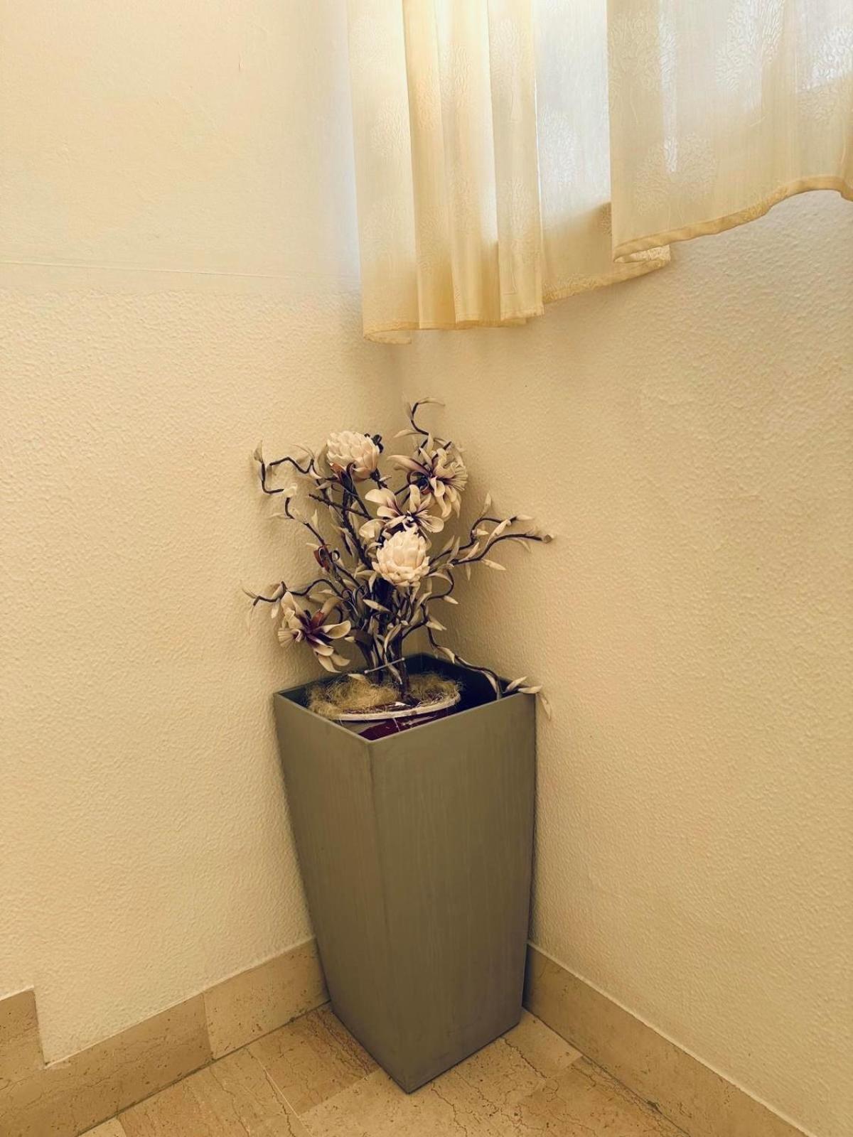 Guest house Roby Rimini