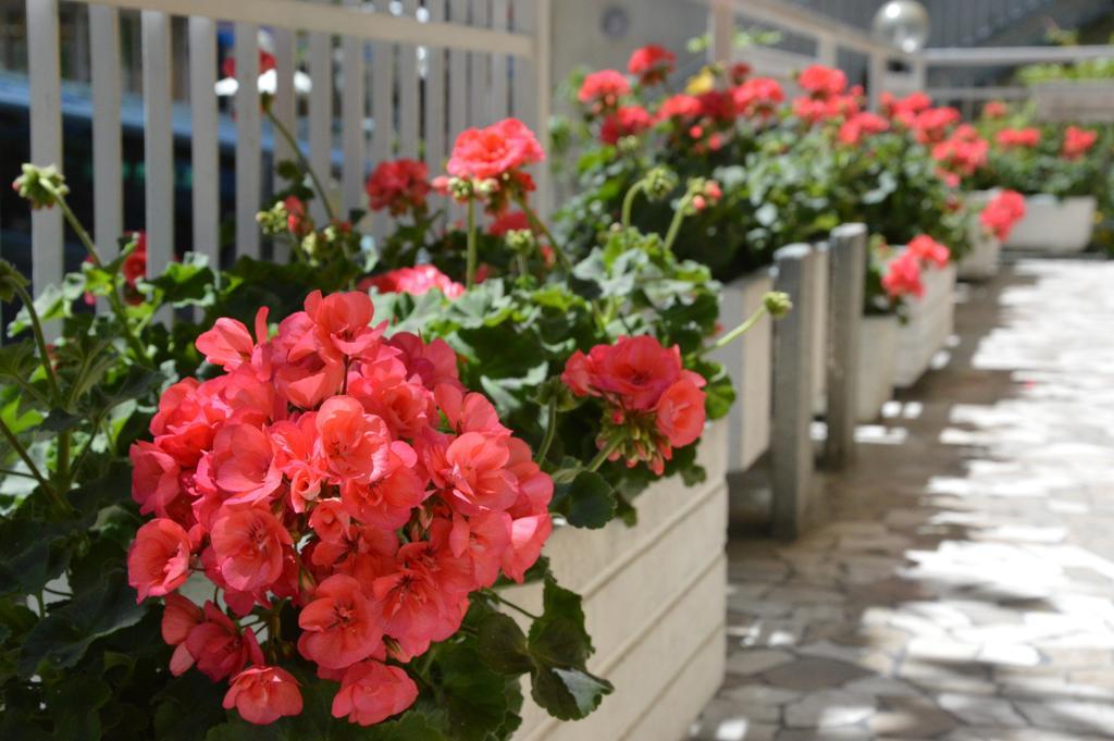 Mantovani Mariu Hotel