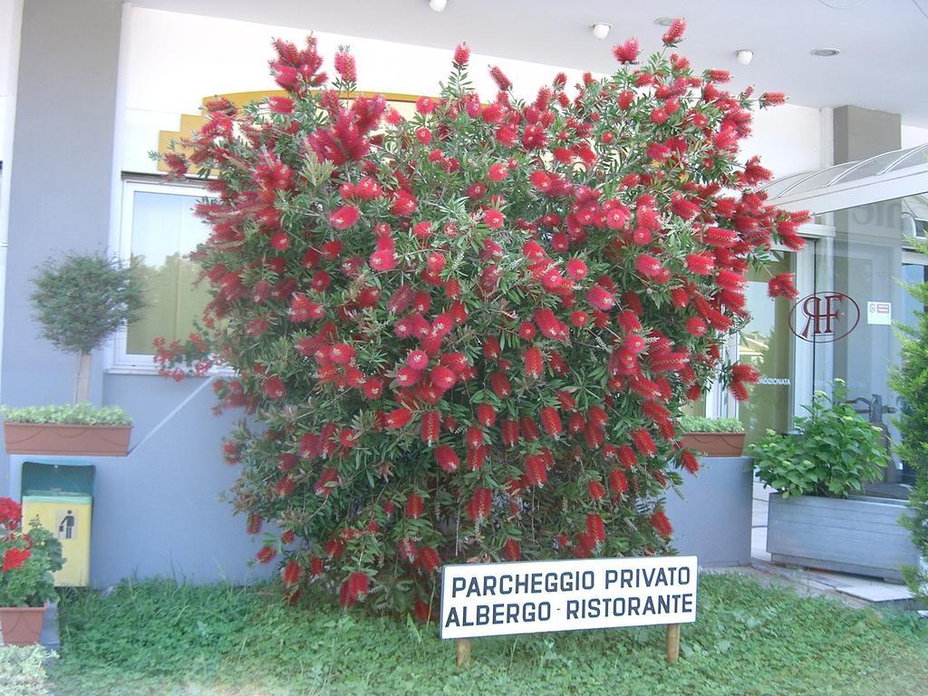 Hotel Filiberto 3*