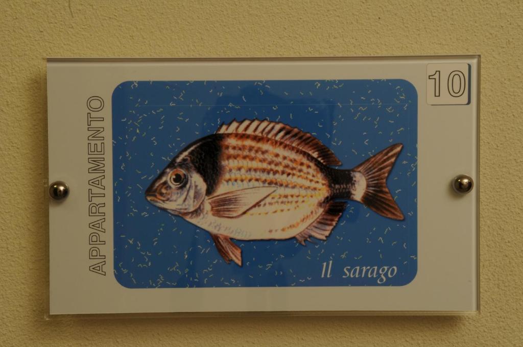 Aparthotel Belmare Rimini