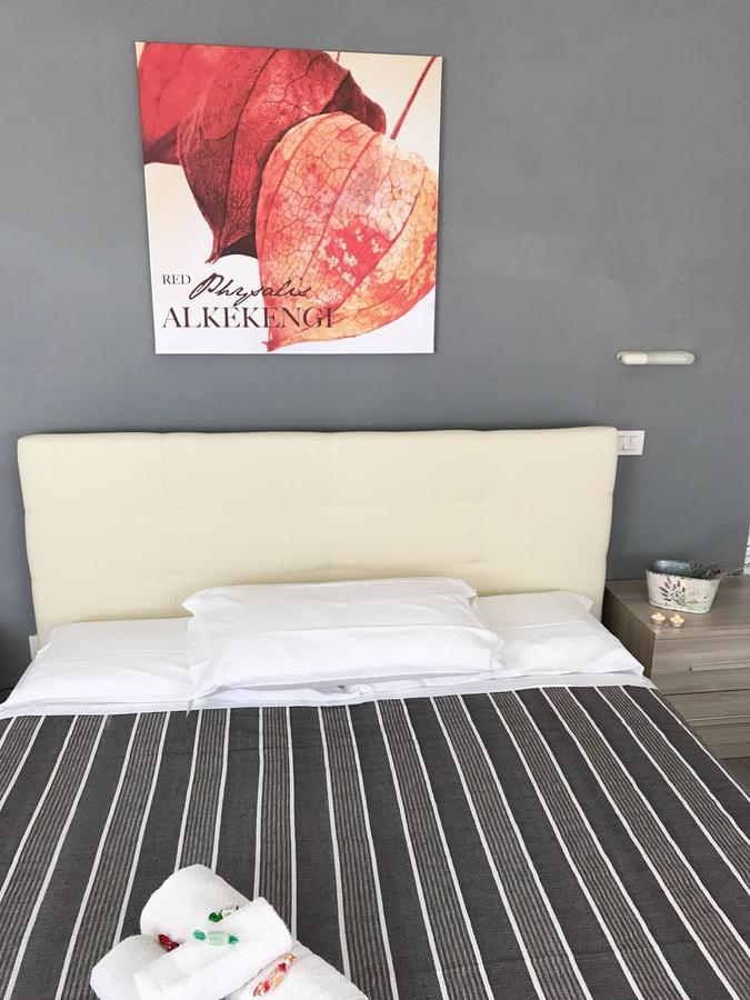 Venus Hotel 3*