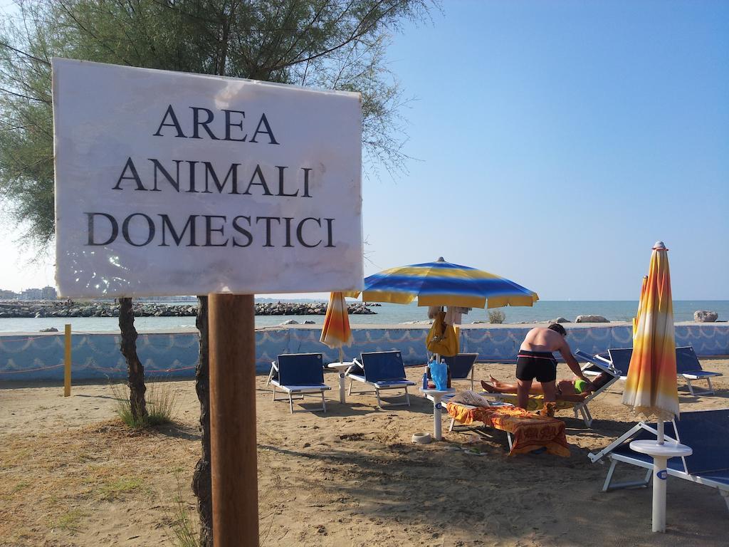 Paloma 3* Rimini