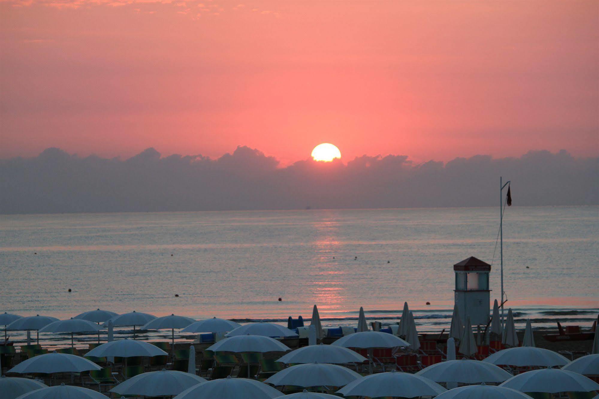 Grifone Rimini