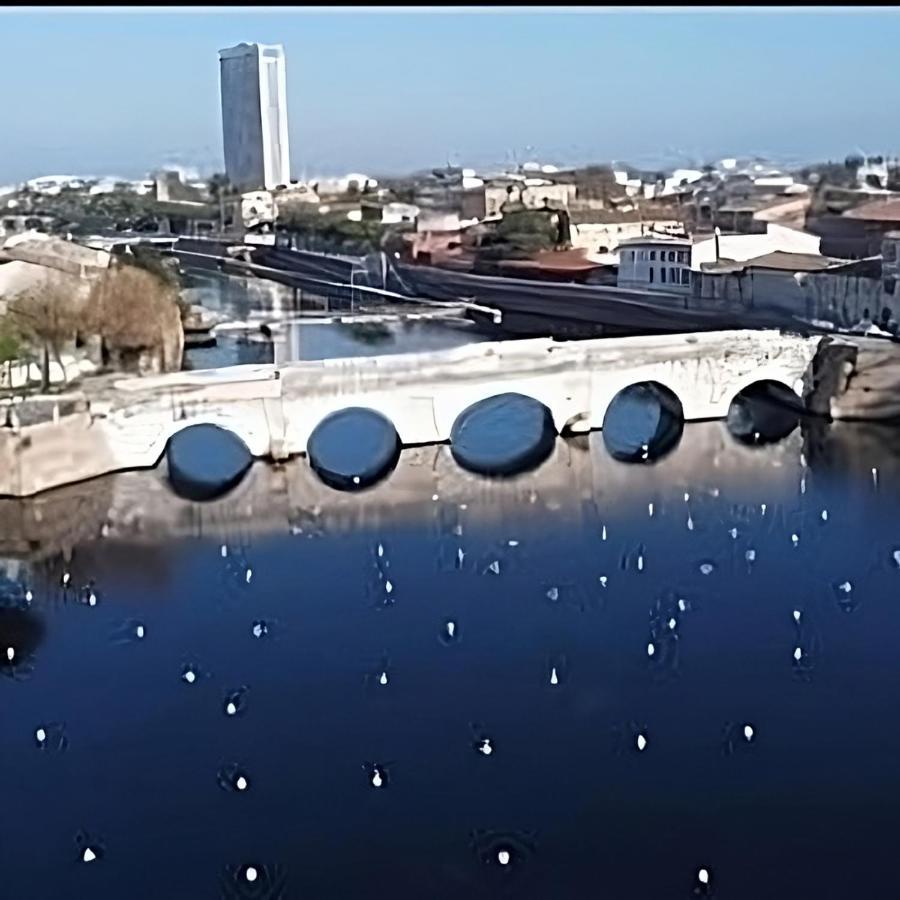 Hotel Jana Rimini