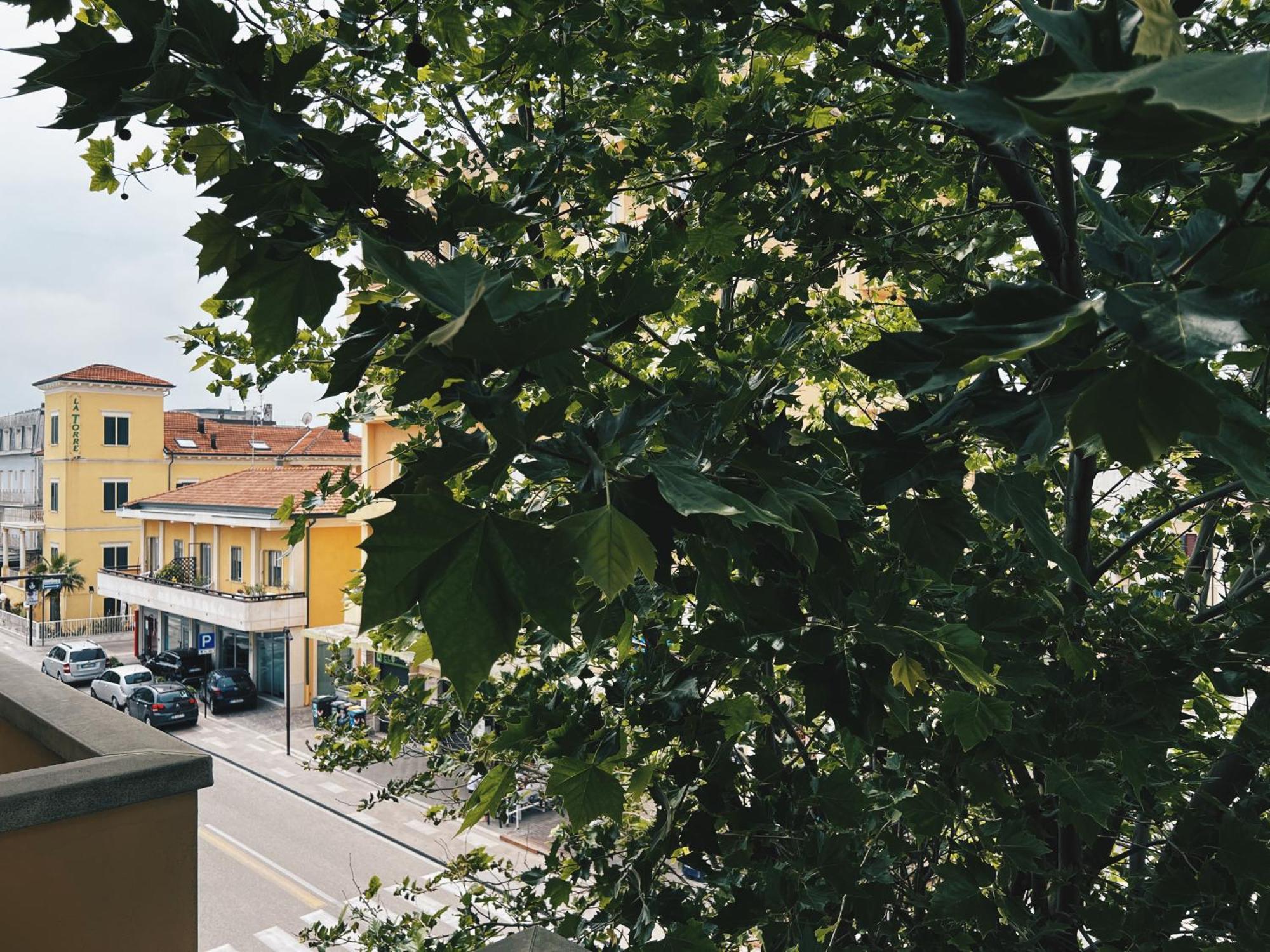 Buena Vista * Rimini