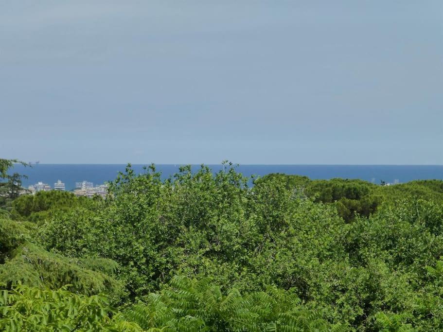 Apartment I Noci Rimini