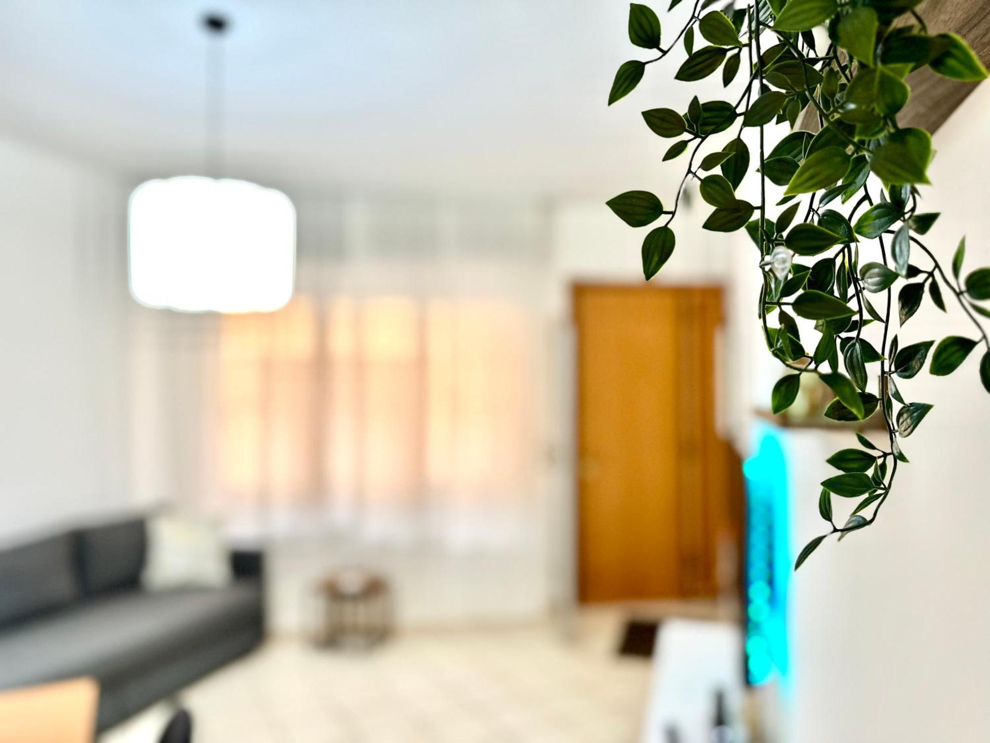Domus Sofia Historic Center Apartment Rimini