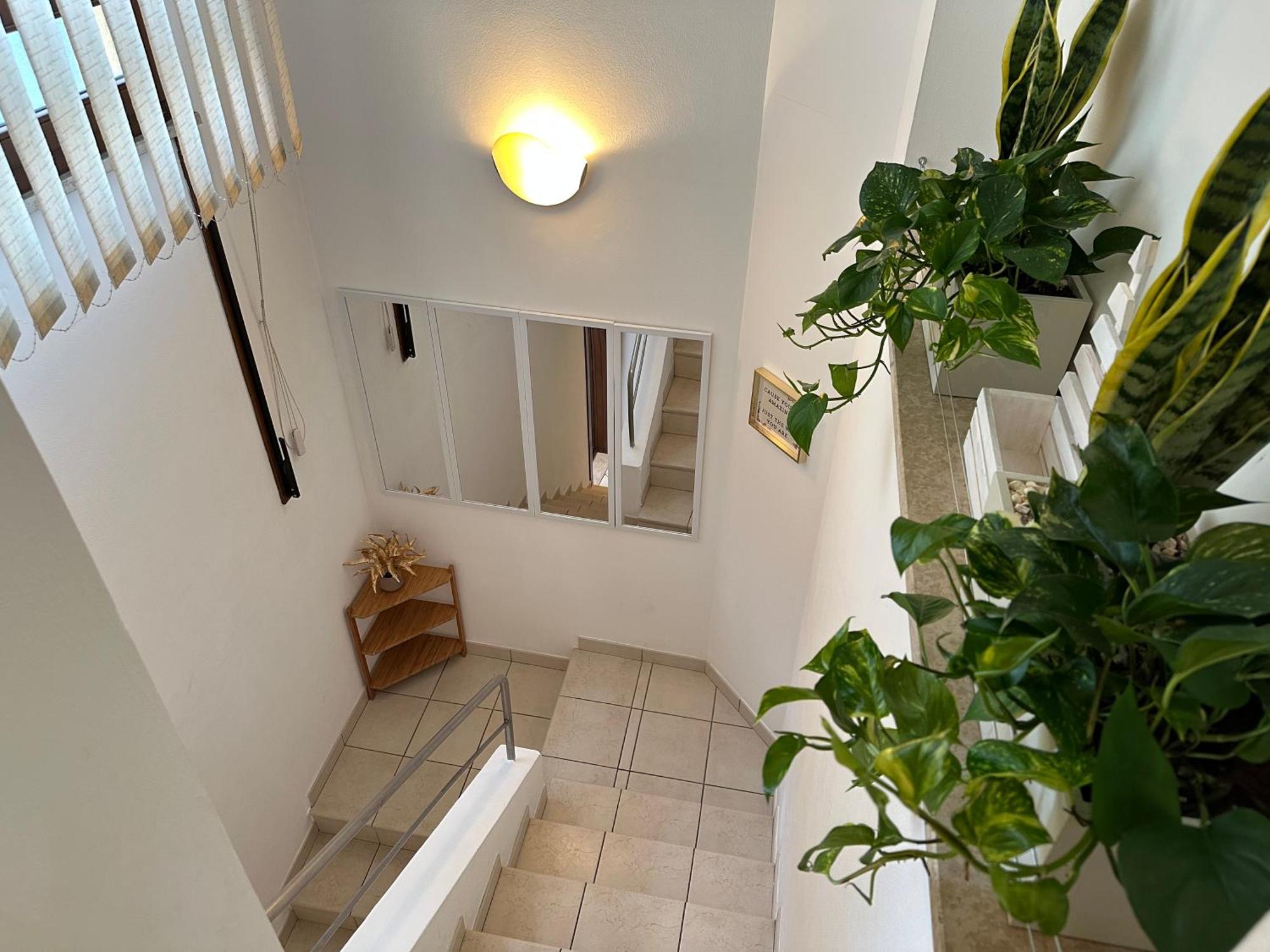 Apartment Domus Sofia Historic Center Rimini