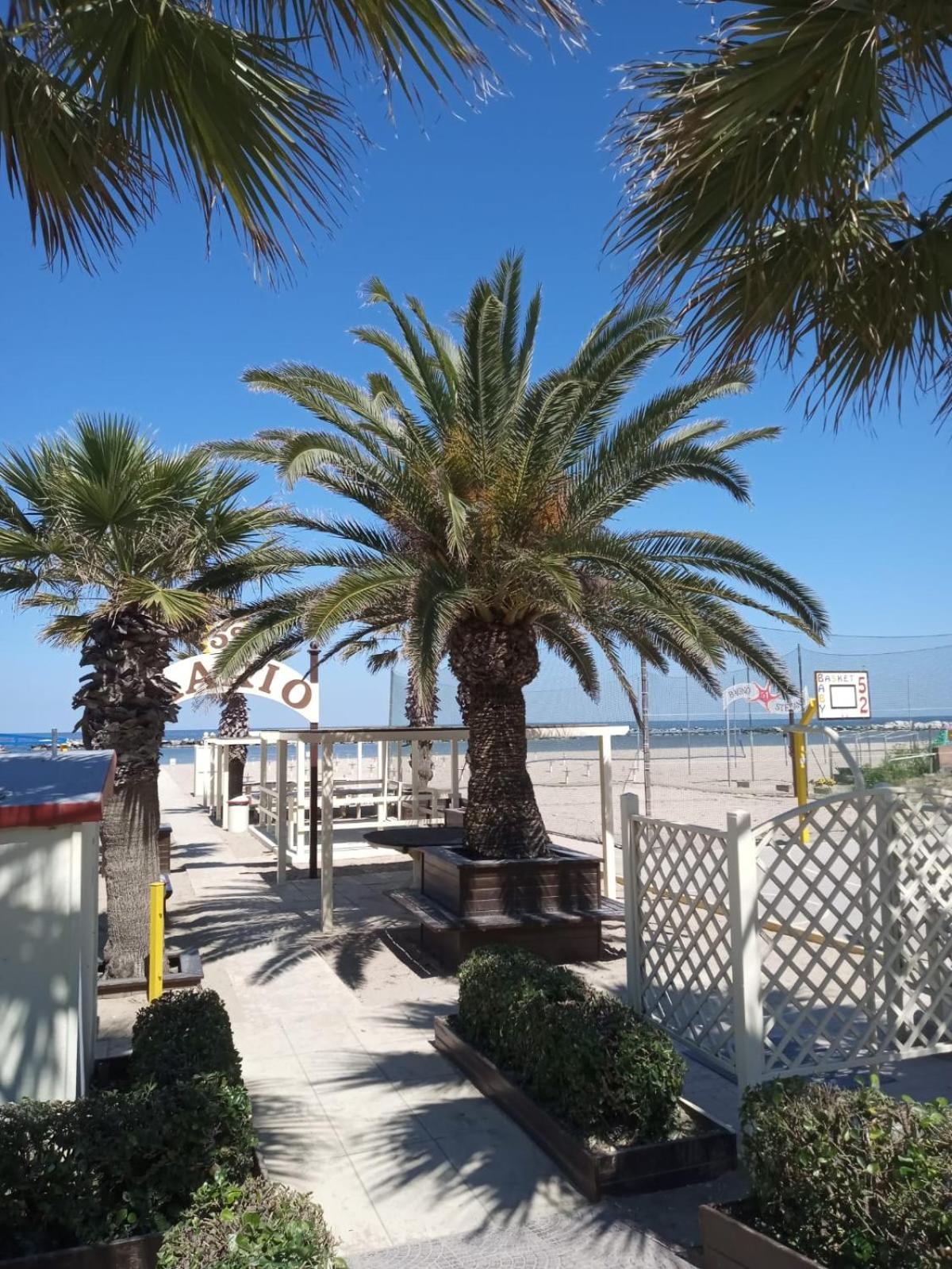 Hotel Bonaria Rimini