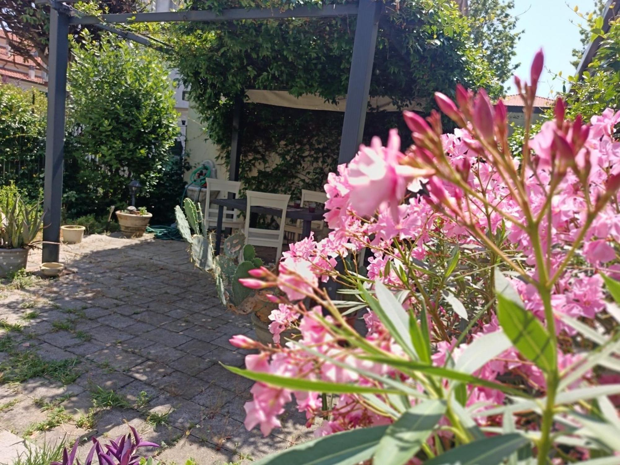 Avela 6 - Giardino E Mare - Vacanze Sul Serio Rimini