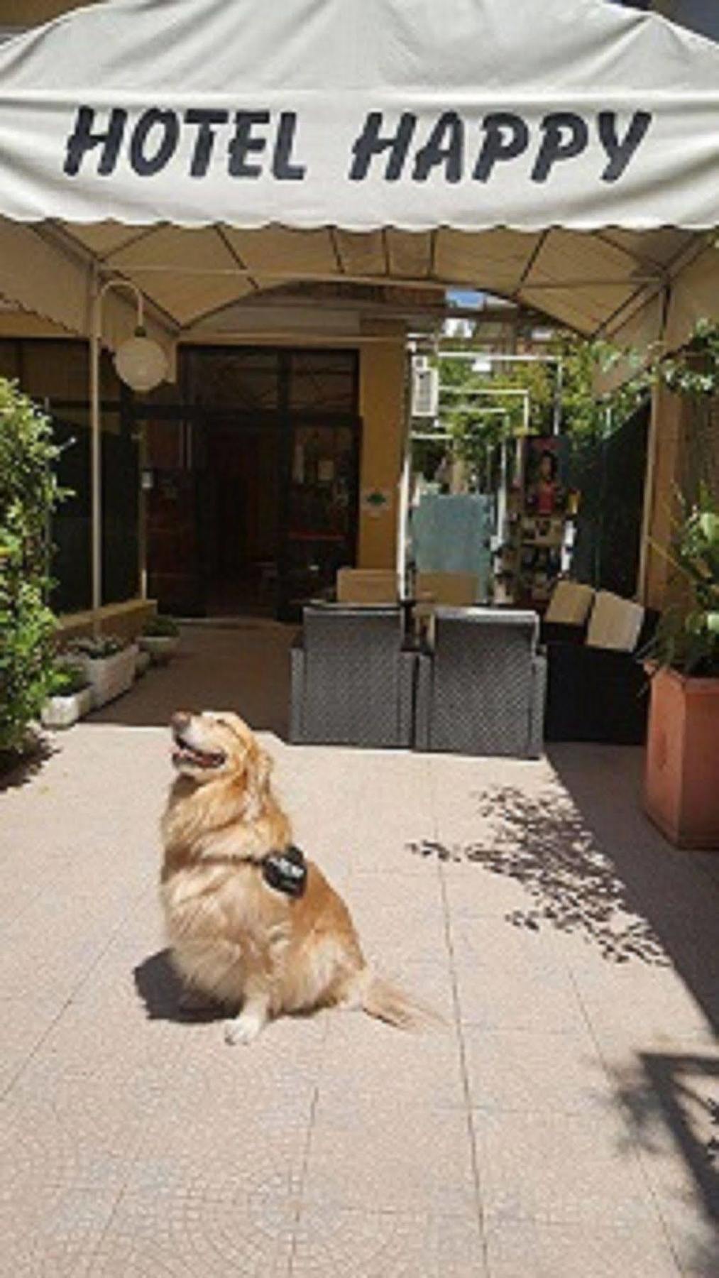 New Happy 3* Rimini