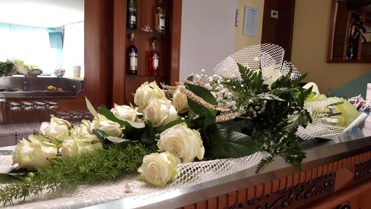 Oletta 2*